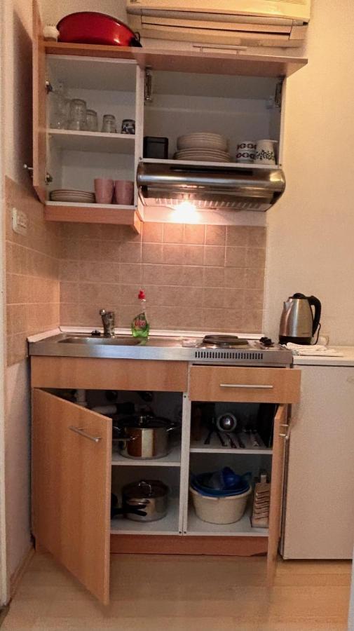 Apartment Alfirev 沃迪切 外观 照片